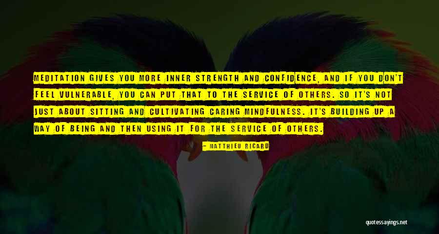 Building Others Up Quotes By Matthieu Ricard Building Others Up Quotes By Matthieu Ricard