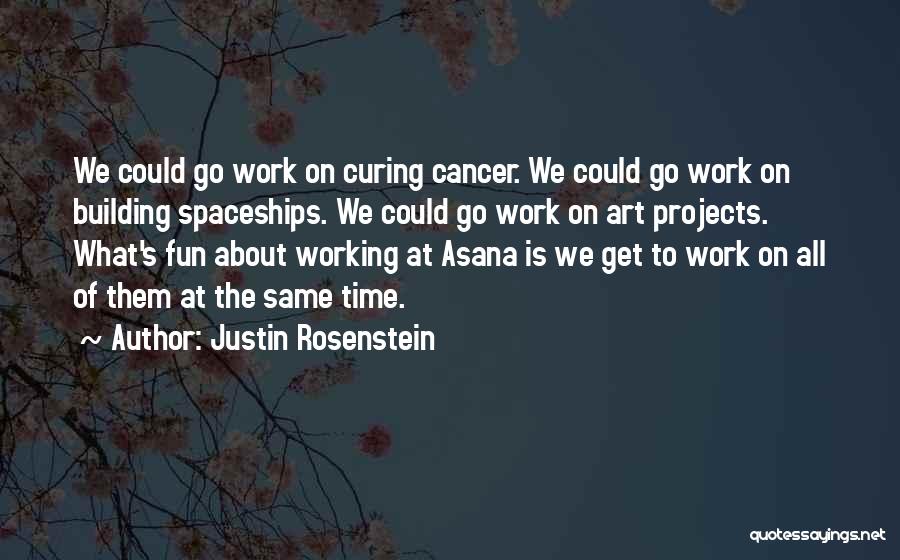 Building Projects Quotes By Justin Rosenstein