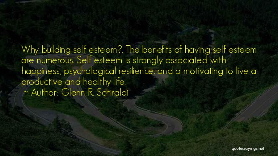 Building Self Esteem Quotes By Glenn R. Schiraldi