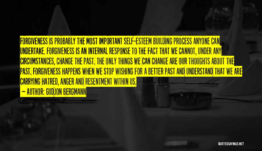 Building Self Esteem Quotes By Gudjon Bergmann