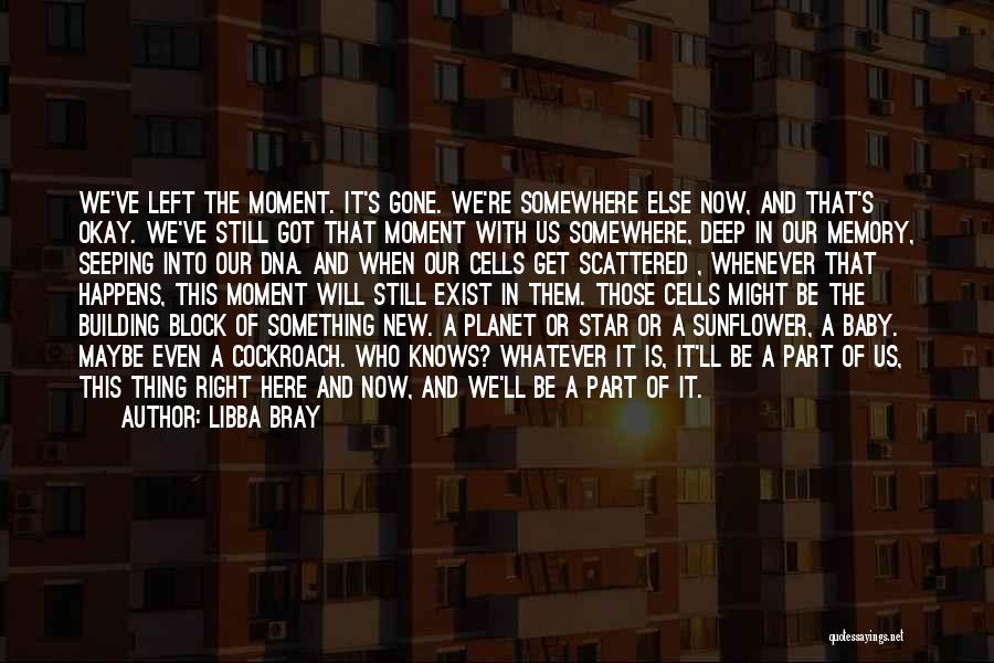 Building Something New Quotes By Libba Bray