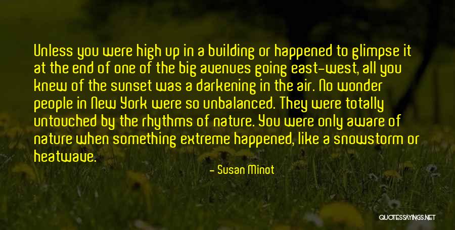 Building Something New Quotes By Susan Minot