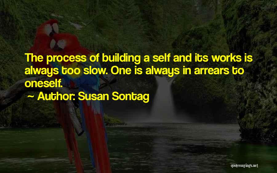 Building Something Out Of Nothing Quotes By Susan Sontag