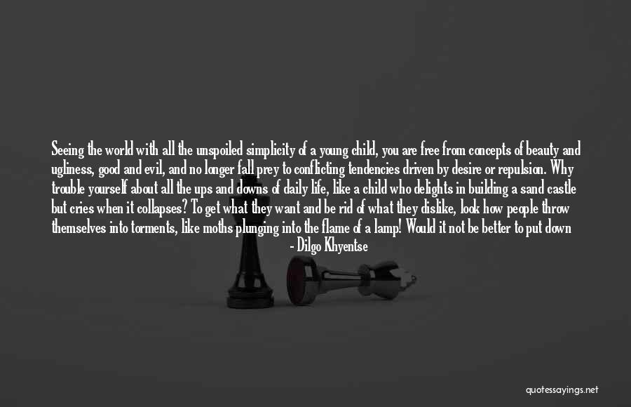 Building The Life You Want Quotes By Dilgo Khyentse Building The Life You Want Quotes By Dilgo Khyentse