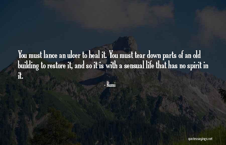 Building The Life You Want Quotes By Rumi Building The Life You Want Quotes By Rumi