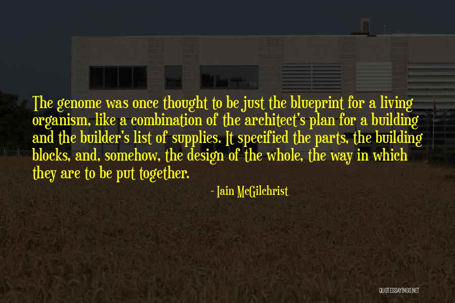 Building Together Quotes By Iain McGilchrist