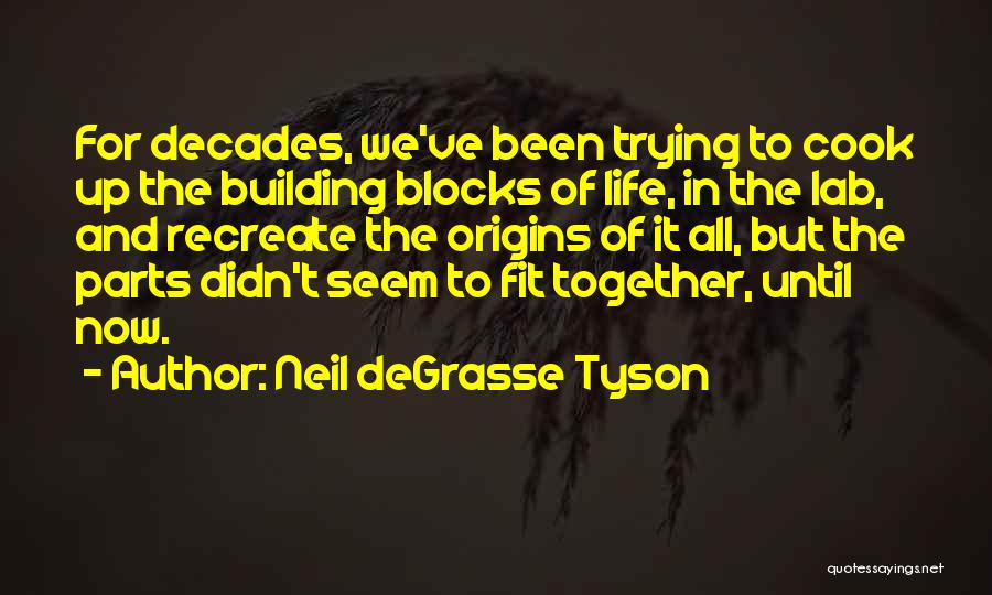 Building Together Quotes By Neil DeGrasse Tyson
