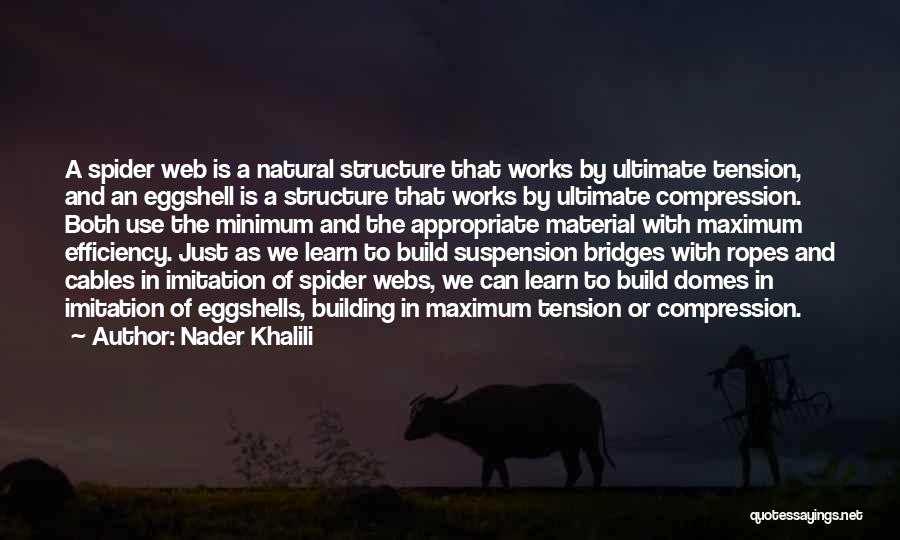 Building Works Quotes By Nader Khalili
