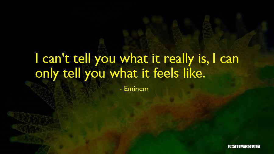 Builds Synonym Quotes By Eminem Builds Synonym Quotes By Eminem