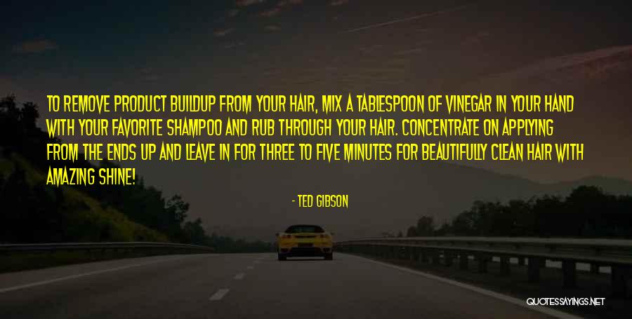 Buildup In Hair Quotes By Ted Gibson
