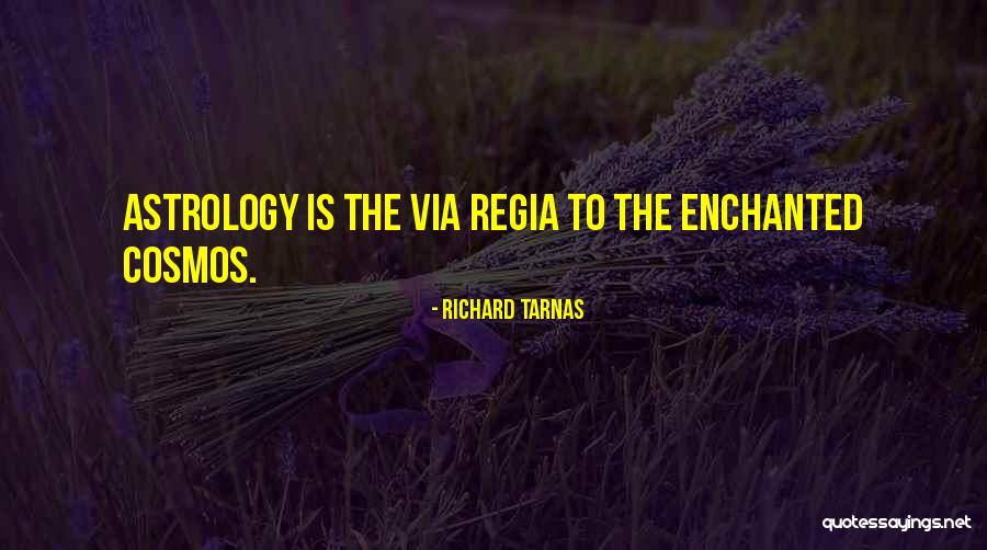 Buiter Roden Quotes By Richard Tarnas Buiter Roden Quotes By Richard Tarnas