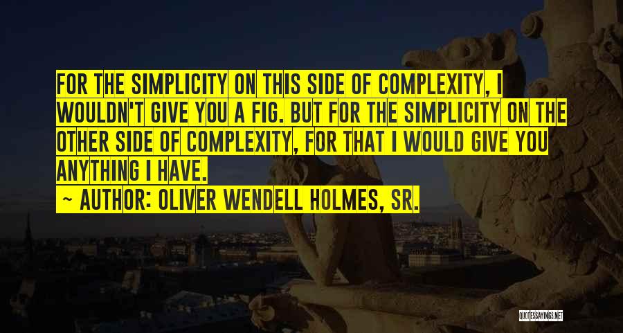 Bujanovacke Quotes By Oliver Wendell Holmes, Sr.