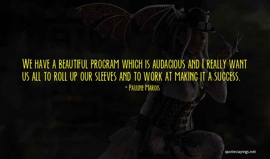 Bukan Cincai Quotes By Pauline Marois Bukan Cincai Quotes By Pauline Marois