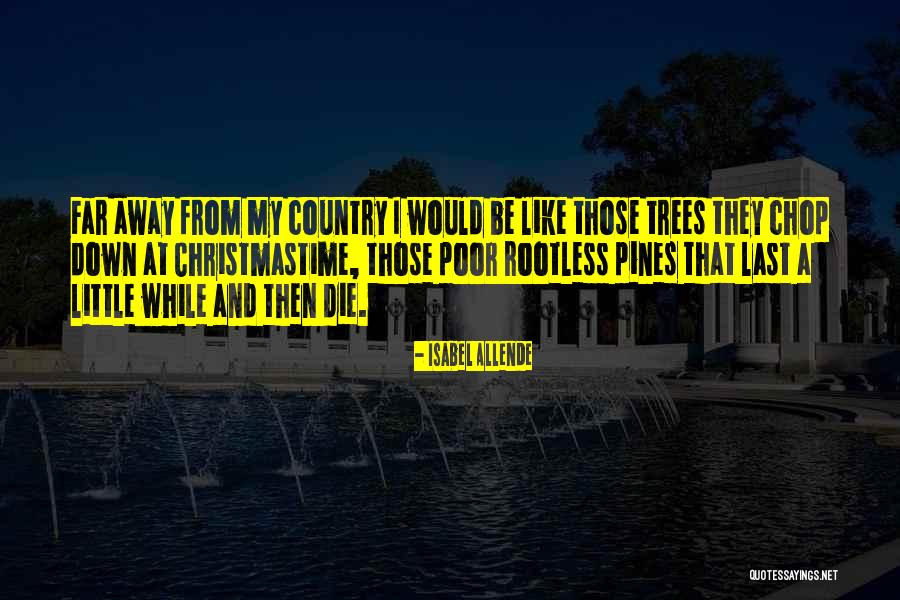 Bukkitgui Quotes By Isabel Allende Bukkitgui Quotes By Isabel Allende