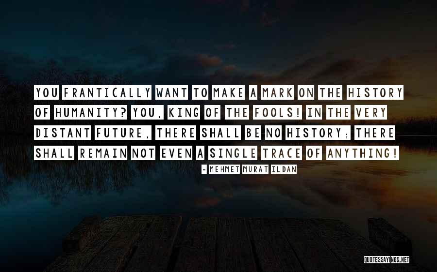 Bukovsky Ockovanie Quotes By Mehmet Murat Ildan Bukovsky Ockovanie Quotes By Mehmet Murat Ildan
