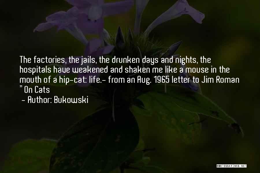 Bukowski Quotes 1035065