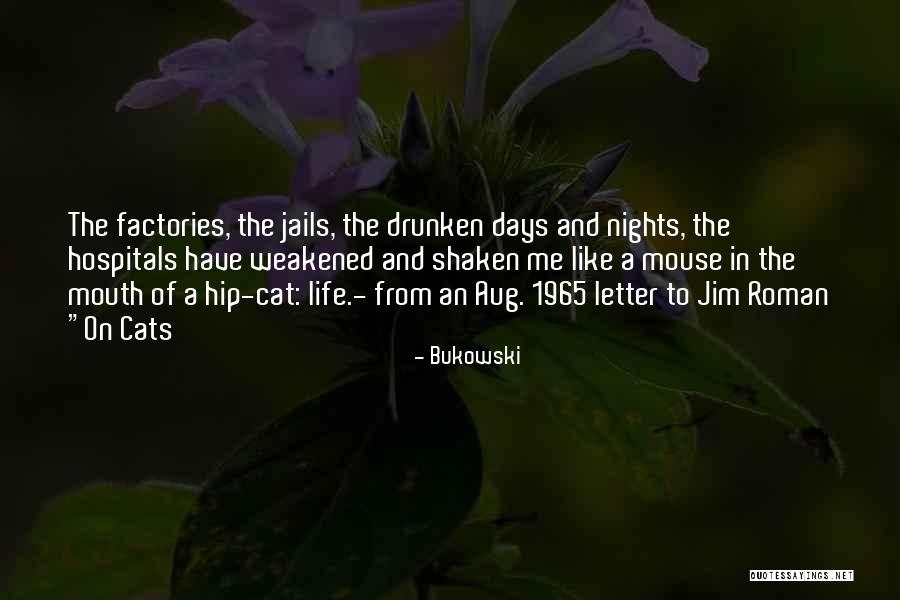 Bukowski Quotes 1035065 Bukowski Quotes 1035065