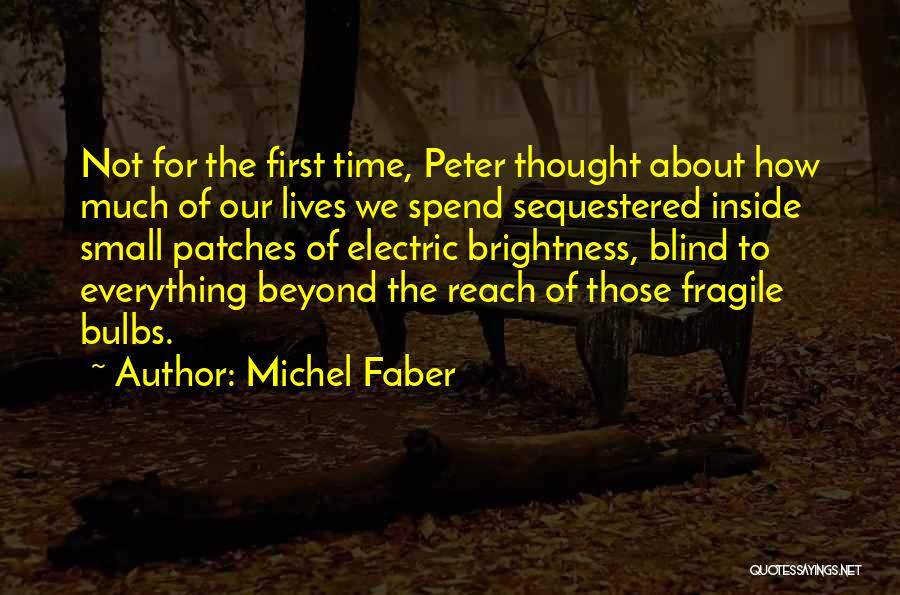 Bulbs Quotes By Michel Faber