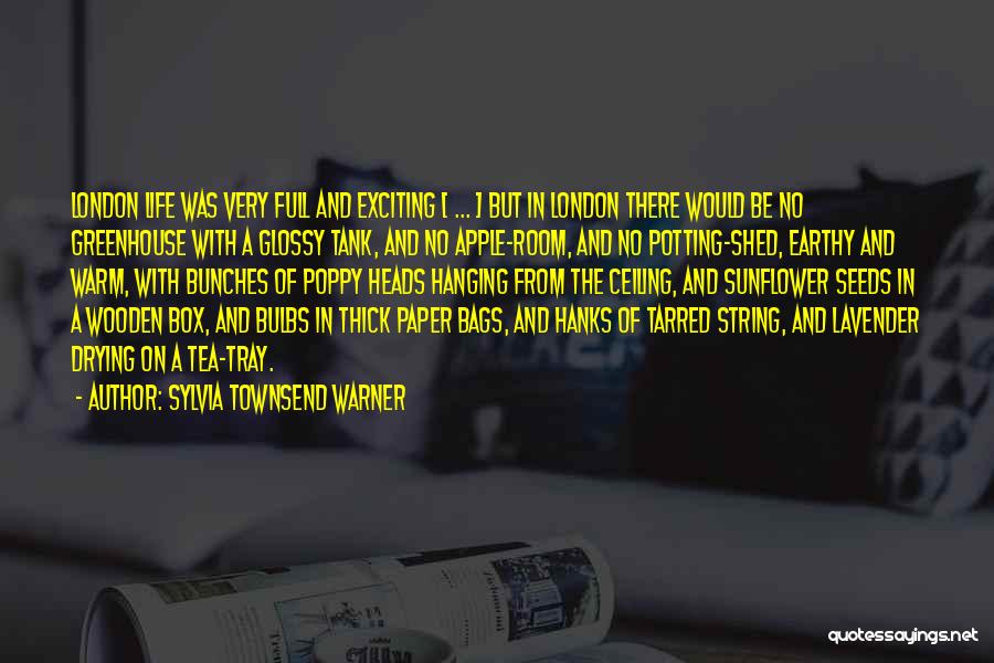 Bulbs Quotes By Sylvia Townsend Warner