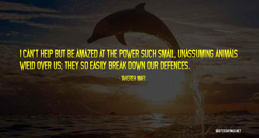 Bulelani Kuyehova Quotes By Tahereh Mafi Bulelani Kuyehova Quotes By Tahereh Mafi