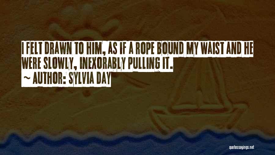 Bulesahah Quotes By Sylvia Day