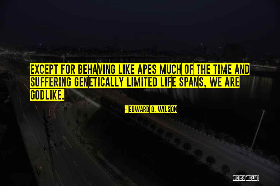 Bulkowski Quotes By Edward O. Wilson Bulkowski Quotes By Edward O. Wilson