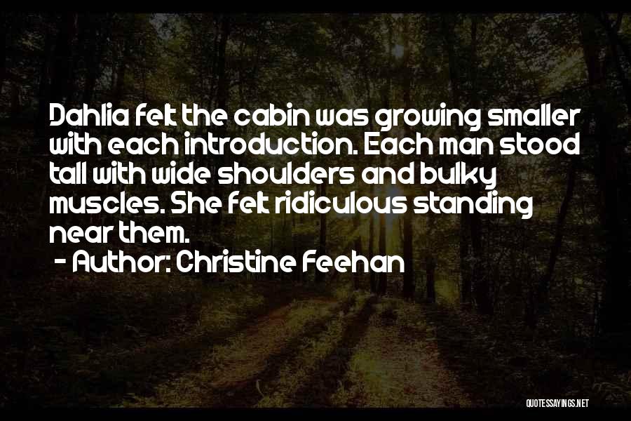 Bulky Quotes By Christine Feehan
