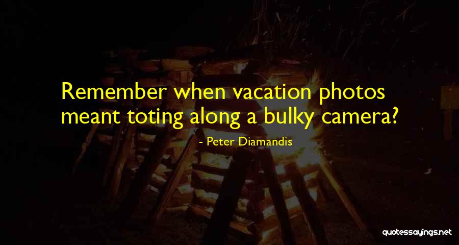 Bulky Quotes By Peter Diamandis