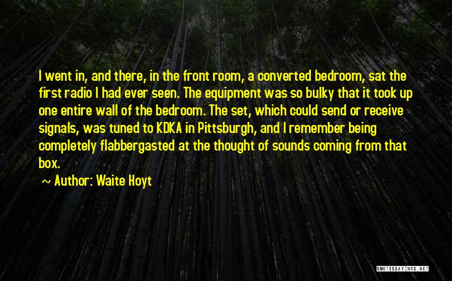 Bulky Quotes By Waite Hoyt