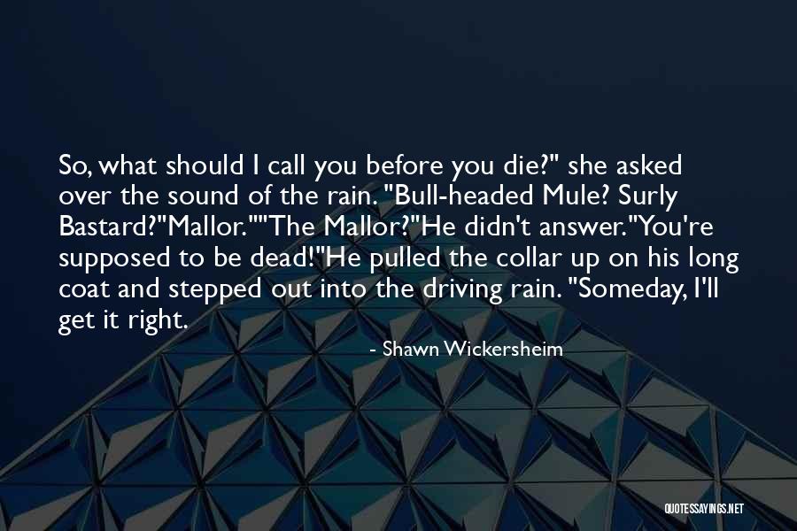 Bull Headed Quotes By Shawn Wickersheim