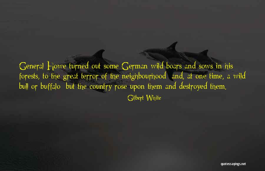 Bull Quotes By Gilbert White Bull Quotes By Gilbert White