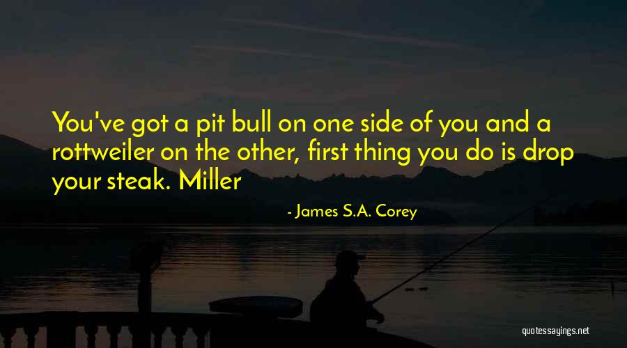 Bull Quotes By James S.A. Corey Bull Quotes By James S.A. Corey