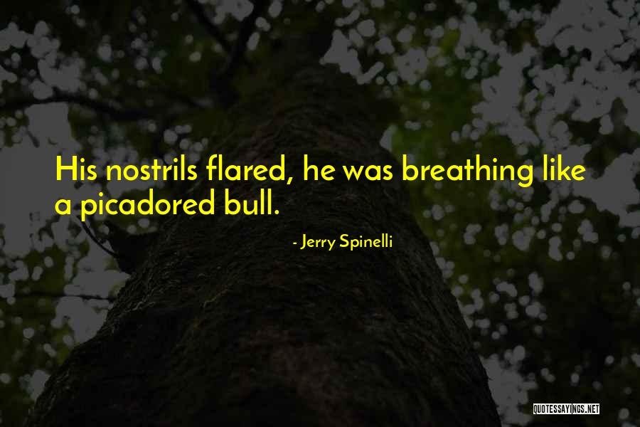Bull Quotes By Jerry Spinelli Bull Quotes By Jerry Spinelli