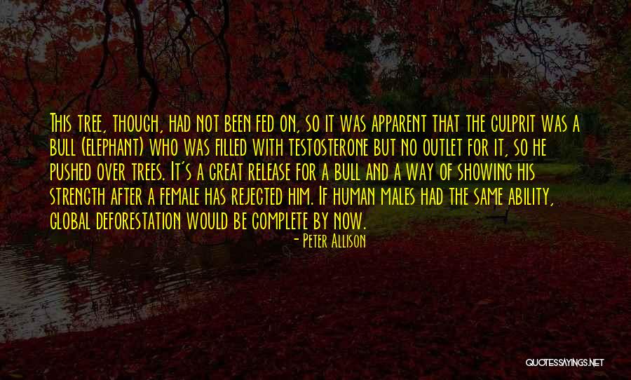 Bull Quotes By Peter Allison Bull Quotes By Peter Allison