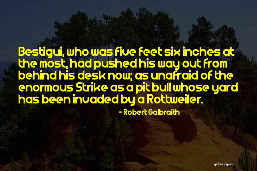 Bull Quotes By Robert Galbraith Bull Quotes By Robert Galbraith