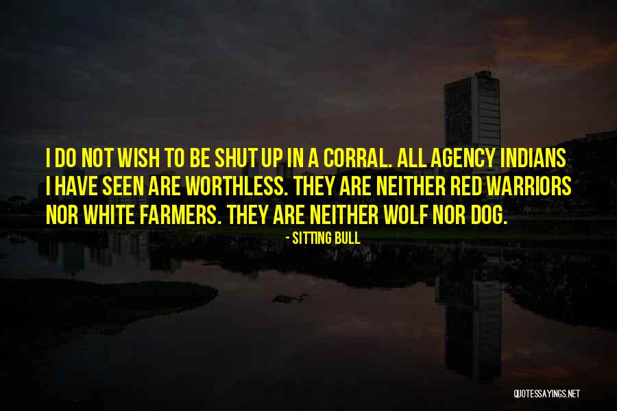 Bull Quotes By Sitting Bull Bull Quotes By Sitting Bull
