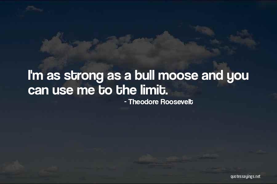 Bull Quotes By Theodore Roosevelt