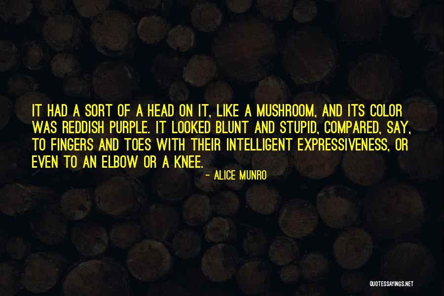 Bulldog Awesomeness Quotes By Alice Munro Bulldog Awesomeness Quotes By Alice Munro