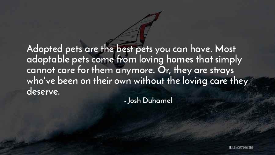 Bulldozed Currier Quotes By Josh Duhamel Bulldozed Currier Quotes By Josh Duhamel