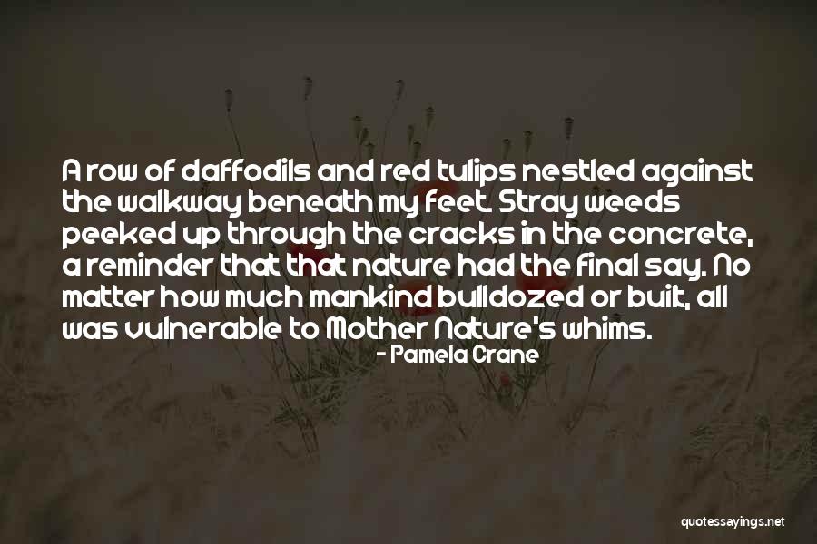 Bulldozed Quotes By Pamela Crane Bulldozed Quotes By Pamela Crane