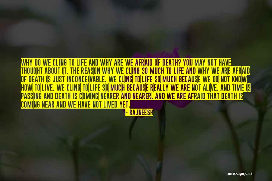 Bulldozers Youtube Quotes By Rajneesh Bulldozers Youtube Quotes By Rajneesh