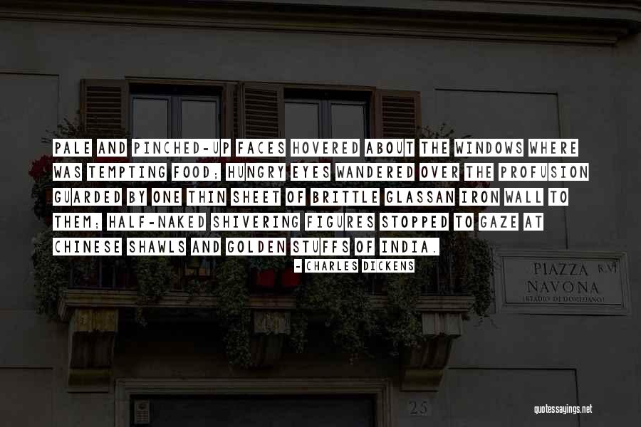 Bulledop Quotes By Charles Dickens Bulledop Quotes By Charles Dickens