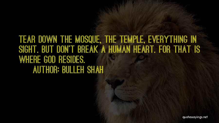 Bulleh Shah Quotes 383361