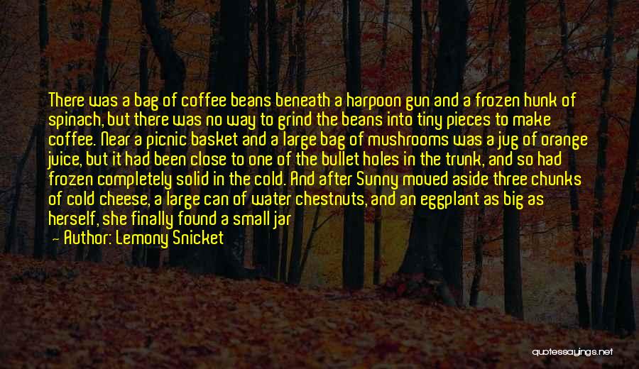 Bullet Holes Quotes By Lemony Snicket