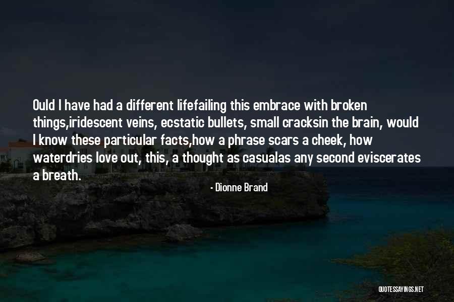 Bullets And Love Quotes By Dionne Brand Bullets And Love Quotes By Dionne Brand