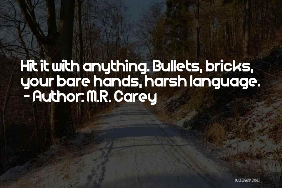 Bullets Quotes By M.R. Carey