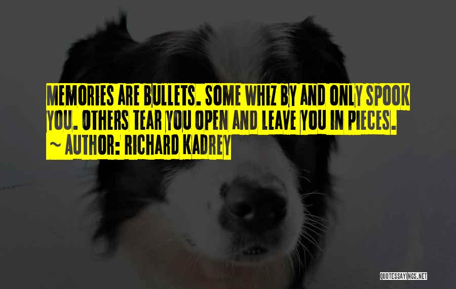 Bullets Quotes By Richard Kadrey