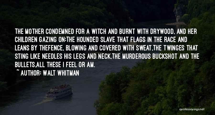 Bullets Quotes By Walt Whitman