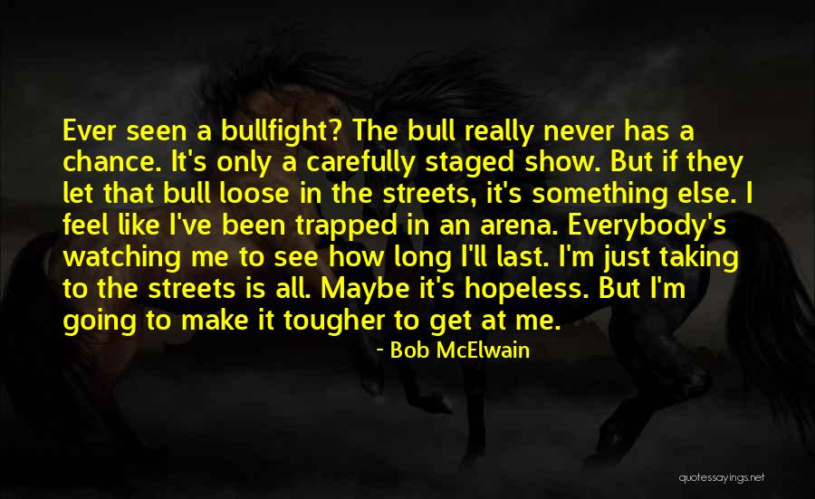 Bullfight Quotes By Bob McElwain Bullfight Quotes By Bob McElwain