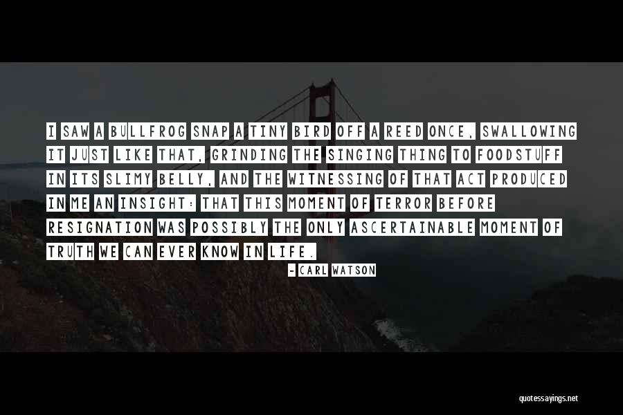 Bullfrog Quotes By Carl Watson Bullfrog Quotes By Carl Watson
